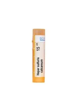 Hepar Sulfuris Calcareum 15CH Boiron