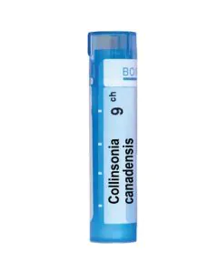 Collinsonia Canadensis 9CH Boiron