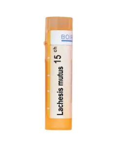 Lachesis mutus 15CH Boiron