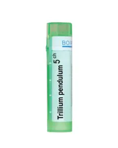 Trillium Pendulum 5CH Boiron