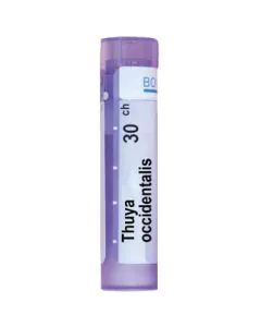 Thuya Occidentalis 30CH Boiron
