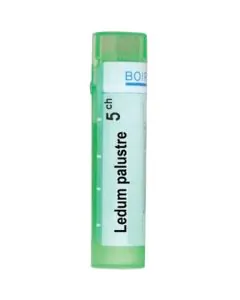 Ledum Palustre 5CH Boiron