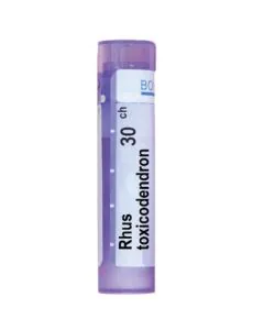 Rhus Toxicodendron 30CH Boiron