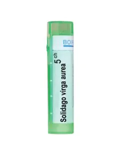 Solidago Viga Aurea 5CH Boiron