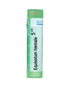 Equisetum hiemale 5CH Boiron