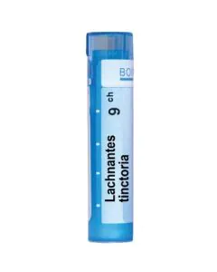 Lachnanthes Tinctoria 9CH Boiron