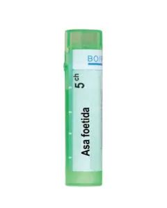 Asa Foetida 5CH Boiron