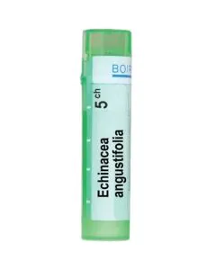 Echinacea Angustifolia 5CH Boiron