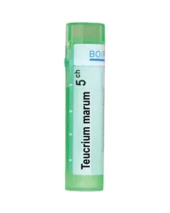 Teucrium marum 5CH Boiron