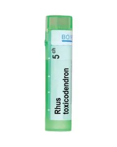 Rhus Toxicodendron 5CH Boiron