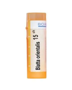 Blatta Orientalis 15CH Boiron