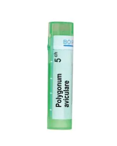 Polygonum Aviculare 5CH Boiron